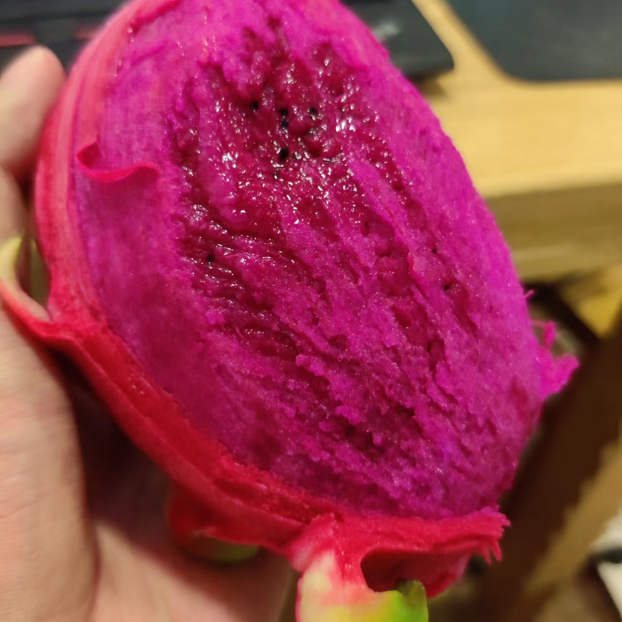 火龙果季